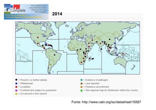 Fonte: http://www.cabi.org/isc/datasheet/16567 
2014 
 
