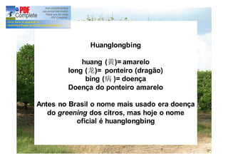 Huanglongbing 
huang (黄)= amarelo 
long (龙)= ponteiro (dragão) 
bing (病)= doença 
Doença do ponteiro amarelo 
Antes no Brasil o nome mais usado era doença 
do greening dos citros, mas hoje o nome 
oficial é huanglongbing 
 