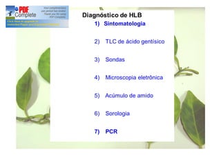 Diagnóstico de HLB 
1) Sintomatologia 
2) TLC de ácido gentísico 
3) Sondas 
4) Microscopia eletrônica 
5) Acúmulo de amido 
6) Sorologia 
7) PCR 
 
