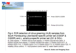 Bruce D. Sutton and Yongping Duan 
 