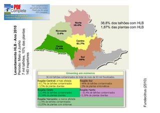 Levantamento HLB - Ano 2010 
Período: Maio a Junho 
7 mil talhões, 10% das plantas 
140 inspetores 
Fundecitrus (2010) 
38,8% dos talhões com HLB 
1,87% das plantas com HLB 
 