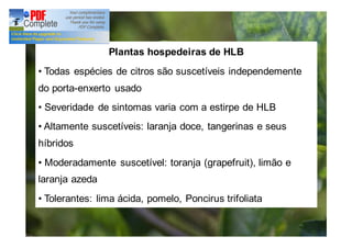 Plantas hospedeiras de HLB 
• Todas espécies de citros são suscetíveis independemente 
do porta-enxerto usado 
• Severidade de sintomas varia com a estirpe de HLB 
• Altamente suscetíveis: laranja doce, tangerinas e seus 
híbridos 
• Moderadamente suscetível: toranja (grapefruit), limão e 
laranja azeda 
• Tolerantes: lima ácida, pomelo, Poncirus trifoliata 
 