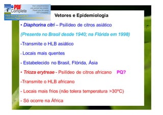 Vetores e Epidemiologia 
• Diaphorina citri – Psilídeo de citros asiático 
(Presente no Brasil desde 1940; na Flórida em 1998) 
-Transmite o HLB asiático 
- Locais mais quentes 
- Estabelecido no Brasil, Flórida, Ásia 
• Trioza erytreae - Psilídeo de citros africano PQ? 
-Transmite o HLB africano 
- Locais mais frios (não tolera temperatura >30ºC) 
- Só ocorre na África 
 