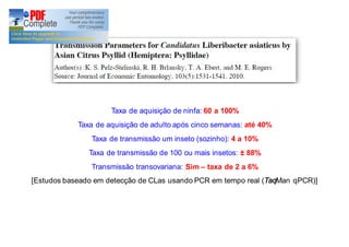 Taxa de aquisição de ninfa: 60 a 100% 
Taxa de aquisição de adulto após cinco semanas: até 40% 
Taxa de transmissão um inseto (sozinho): 4 a 10% 
Taxa de transmissão de 100 ou mais insetos: ± 88% 
Transmissão transovariana: Sim – taxa de 2 a 6% 
[Estudos baseado em detecção de CLas usando PCR em tempo real (TaqMan qPCR)] 
 