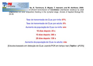 Inoue, H., J. Ohnishi, T. Ito, K. Tomimura, S. Miyata, T. Iwanami, and W. Ashihara. 2009. 
Enhanced proliferation and eficient transmission of Candidatus Liberibacter asiaticus by adult 
Diaphorina citri after acquisition feeding in the nymphal stage. Annals of Applied Biology155: 
29-36. 
Taxa de transmissão de CLas por ninfa: 67% 
Taxa de transmissão de CLas por adulto: 0% 
Aumento de população de CLas na ninfa: sim 
10 dias depois: 25 x 
15 dias depois: 360 x 
20 dias depois: 130 x 
Aumento de população de CLas no adulto: não 
[Estudos baseado em detecção de CLas usando PCR em tempo real (TaqMan qPCR)] 
 
