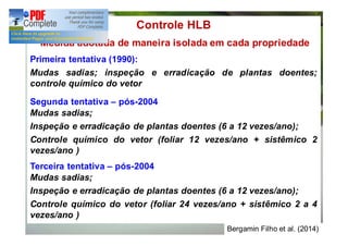 Controle HLB 
Medida adotada de maneira isolada em cada propriedade 
Primeira tentativa (1990): 
Mudas sadias; inspeção e erradicação de plantas doentes; 
controle químico do vetor 
Segunda tentativa – pós-2004 
Mudas sadias; 
Inspeção e erradicação de plantas doentes (6 a 12 vezes/ano); 
Controle químico do vetor (foliar 12 vezes/ano + sistêmico 2 
vezes/ano ) 
Terceira tentativa – pós-2004 
Mudas sadias; 
Inspeção e erradicação de plantas doentes (6 a 12 vezes/ano); 
Controle químico do vetor (foliar 24 vezes/ano + sistêmico 2 a 4 
vezes/ano ) 
Bergamin Filho et al. (2014) 
 
