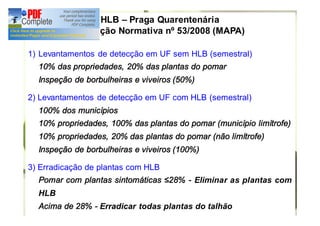 HLB – Praga Quarentenária 
Instrução Normativa nº 53/2008 (MAPA) 
1) Levantamentos de detecção em UF sem HLB (semestral) 
10% das propriedades, 20% das plantas do pomar 
Inspeção de borbulheiras e viveiros (50%) 
2) Levantamentos de detecção em UF com HLB (semestral) 
100% dos municípios 
10% propriedades, 100% das plantas do pomar (município limítrofe) 
10% propriedades, 20% das plantas do pomar (não limítrofe) 
Inspeção de borbulheiras e viveiros (100%) 
3) Erradicação de plantas com HLB 
Pomar com plantas sintomáticas ≤28% - Eliminar as plantas com 
HLB 
Acima de 28% - Erradicar todas plantas do talhão 
 