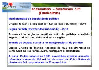 Alerta Fitossanitário – Diaphorina citri 
(Fundecitrus) 
Monitoramento da população de psilídeo 
Grupos de Manejo Regional do HLB (adesão voluntária) - 2009 
Página na Web (www.fundecitrus.com.br) – 2013 
Acesso à informação de monitoramento de psilídeo e estádio 
vegetativo dos citros quinzenal para a região 
Tomada de decisão conjunta no manejo regional do psilídeo 
Quatro Grupos de Manejo Regional de HLB em SP: região de 
Santa Cruz do Rio Pardo, Avaré, Araraquara e Bebedouro. 
A cada 15 dias: análise de 8.985 armadilhas adesivas amarelas, 
referentes a área de 108 mil ha de citros ou 48,6 milhões de 
plantas em 541 propriedades de 62 municípios 
 