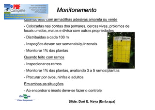 Monitoramento 
Quando feito com armadilhas adesivas amarela ou verde 
- Colocadas nas bordas dos pomares, cercas vivas, próximos de 
locais umidos, matas e divisa com outras propriedades 
- Distribuidas a cada 100 m 
- Inspeções devem ser semanais/quinzenais 
- Monitorar 1% das plantas 
Quando feito com ramos 
- Inspecionar os ramos 
- Monitorar 1% das plantas, avaliando 3 a 5 ramos/plantas 
- Procurar por ovos, ninfas e adultos 
Em ambas as situações 
- Ao encontrar o inseto deve-se fazer o controle 
Slide: Dori E. Nava (Embrapa) 
 