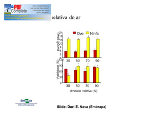 3) Umidade relativa do ar 
21 
18 
15 
12 
0 3 
6 9 
Ovo Ninfa 
30 50 70 90 
Duração (dias) 
a a a 
a 
a 
a 
a 
a 
120 
90 
60 
30 
0 
30 50 70 90 
Umidade relativa (%) 
Viabilidade (%) 
b 
a a 
a 
a 
a a 
a 
D. citri 
Slide: Dori E. Nava (Embrapa) 
 
