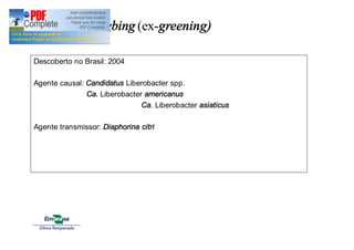 Huanglongbing (ex-greening) 
Descoberto no Brasil: 2004 
Agente causal: Candidatus Liberobacter spp. 
Ca. Liberobacter americanus 
Ca. Liberobacter asiaticus 
Agente transmissor: Diaphorina citri 
 