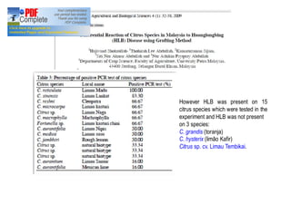However HLB was present on 15 
citrus species which were tested in the 
experiment and HLB was not present 
on 3 species: 
C. grandis (toranja) 
C. hysterix (limão Kafir) 
Citrus sp. cv. Limau Tembikai. 
 