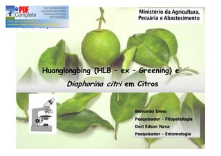 Huanglongbing (HLB – ex – Greening) e 
Diaphorina citri em Citros 
Bernardo Ueno 
Pesquisador - Fitopatologia 
Dori Edson Nava 
Pesquisador - Entomologia 
 