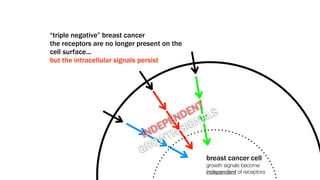 “triple negative” breast cancer
the receptors are no longer present on the
cell surface...
but the intracellular signals p...