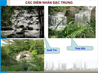 Suối Tre Thác  Đôi CÁC ĐIỂM NHẤN ĐẶC TRƯNG 