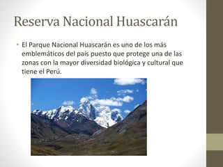 Reserva Nacional Huascarán 
• El Parque Nacional Huascarán es uno de los más 
emblemáticos del país puesto que protege una de las 
zonas con la mayor diversidad biológica y cultural que 
tiene el Perú. 
 