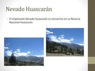 Nevado Huascarán 
• El imponente Nevado Huascarán se encuentra en La Reserva 
Nacional Huascarán. 
 