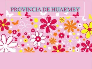 PROVINCIA DE HUARMEY
 