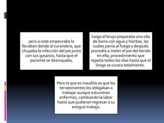pero si este empeoraba lo
llevaban donde el curandero, que
chupaba la infección del pie junto
con sus gusanos, hasta que el
paciente se desmayaba,
luego el brujo preparaba una olla
de barro con agua y hierbas, las
cuales ponía al fuego y después
procedía a meter el pie del herido
en ella, procedimiento que
repetía todos los días hasta que el
longo se curara totalmente.
Pero lo que es inaudito es que los
terratenientes los obligaban a
trabajar aunque estuvieran
enfermos, cambiando la labor
hasta que pudieran regresar a su
antiguo trabajo.
 