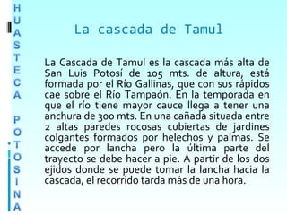 La cascada de Tamul
La Cascada de Tamul es la cascada más alta de
San Luis Potosí de 105 mts. de altura, está
formada por el Río Gallinas, que con sus rápidos
cae sobre el Río Tampaón. En la temporada en
que el río tiene mayor cauce llega a tener una
anchura de 300 mts. En una cañada situada entre
2 altas paredes rocosas cubiertas de jardines
colgantes formados por helechos y palmas. Se
accede por lancha pero la última parte del
trayecto se debe hacer a pie. A partir de los dos
ejidos donde se puede tomar la lancha hacia la
cascada, el recorrido tarda más de una hora.
 