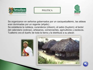 POLITICA



Se organizaron en señorios gobernados por un caciquetzalleinic, las aldeas
eran dominadas por un regente (ahjatic) .
Se establecia la nobleza, curanderos (zitoom), el sabio (huytom); el lector
del calendario (zobnax), artesanos, comerciantes, agricultores y esclavos.
Tzalleinic era el dueño de toda la tierra y la distribuia a su placer.
 