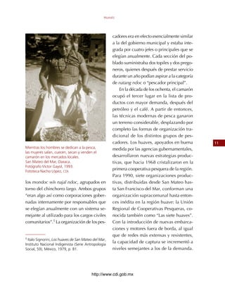 HUAVES




                                                      cadores	era	en	efecto	esencialmente	similar	
                                                      a	la	del	gobierno	municipal	y	estaba	inte-
                                                      grada	por	cuatro	jefes	o	principales	que	se	
                                                      elegían	anualmente.	Cada	sección	del	po-
                                                      blado	suministraba	dos	topiles	y	dos	prego-
                                                      neros,	quienes	después	de	prestar	servicio	
                                                      durante	un	año	podían	aspirar	a	la	categoría	
                                                      de	natang	ndoc	o	“pescador	principal”.
                                                          En	la	década	de	los	ochenta,	el	camarón	
                                                      ocupó	el	tercer	lugar	en	la	lista	de	pro-
                                                      ductos	con	mayor	demanda,	después	del	
                                                      petróleo	y	el	café.	A	partir	de	entonces,	
                                                      las	técnicas	modernas	de	pesca	ganaron	
                                                      un	terreno	considerable,	desplazando	por	
                                                      completo	las	formas	de	organización	tra-
                                                      dicional	de	los	distintos	grupos	de	pes-
                                                      cadores.	Los	huaves,	apoyados	en	buena	         11
Mientras los hombres se dedican a la pesca,           medida	por	las	agencias	gubernamentales,	
las mujeres salan, cuecen, secan y venden el
camarón en los mercados locales.                      desarrollaron	nuevas	estrategias	produc-
San Mateo del Mar, Oaxaca.                            tivas,	que	hacia	1968	cristalizaron	en	la	
Fotógrafo Víctor Gayol, 1993.
Fototeca Nacho López, CDI.
                                                      primera	cooperativa	pesquera	de	la	región.	
                                                      Para	1990,	siete	organizaciones	produc-
los	mondoc	wïs	najal	ndoc,	agrupados	en	              tivas,	distribuidas	desde	San	Mateo	has-
torno	del	chinchorro	largo.	Ambos	grupos	             ta	San	Francisco	del	Mar,	conforman	una	
“eran	algo	así	como	corporaciones	gober-              organización	supracomunal	hasta	enton-
nadas	internamente	por	responsables	que	              ces	inédita	en	la	región	huave:	la	Unión	
se	elegían	anualmente	con	un	sistema	se-              Regional	de	Cooperativas	Pesqueras,	co-
mejante	al	utilizado	para	los	cargos	civiles	         nocida	también	como	“Las	siete	huaves”.	
comunitarios”.5	La	organización	de	los	pes-           Con	la	introducción	de	nuevas	embarca-
                                                      ciones	y	motores	fuera	de	borda,	al	igual	
                                                      que	de	redes	más	extensas	y	resistentes,	
5 Italo Signorini, Los huaves de San Mateo del Mar,
                                                      la	capacidad	de	captura	se	incrementó	a	
Instituto Nacional Indigenista (Serie Antropología
Social, 59), México, 1979, p. 81.                     niveles	semejantes	a	los	de	la	demanda.	




                                          http://www.cdi.gob.mx
 