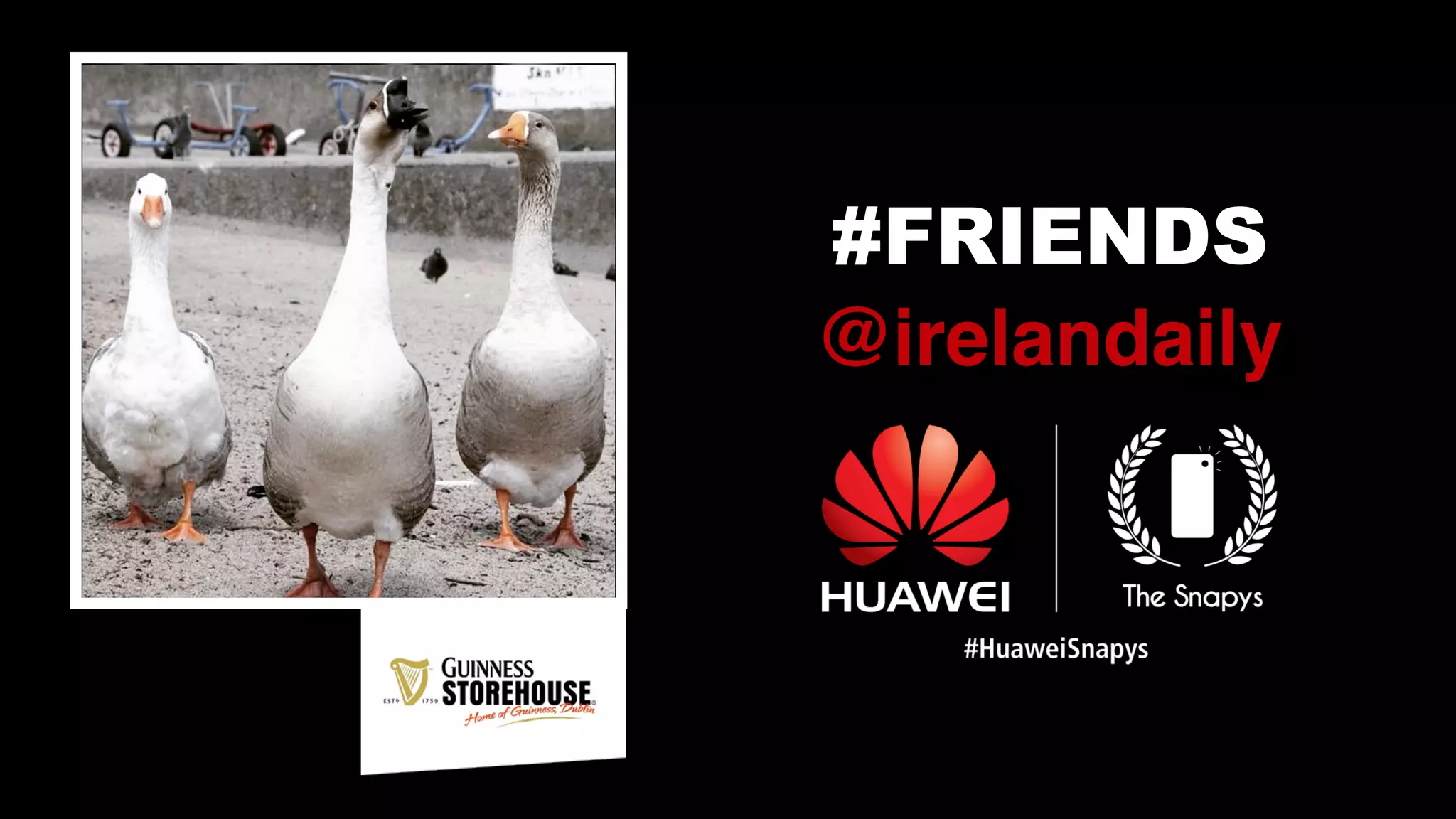 #FRIENDS
@irelandaily