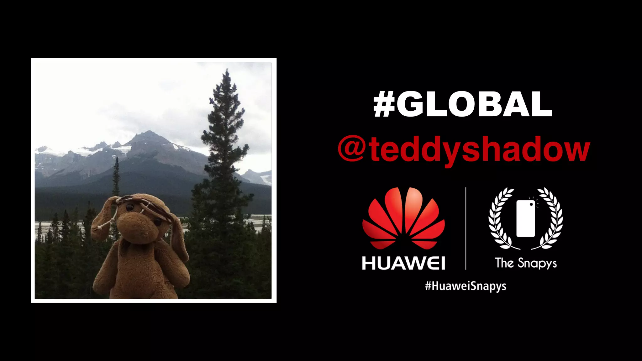 #GLOBAL
@teddyshadow