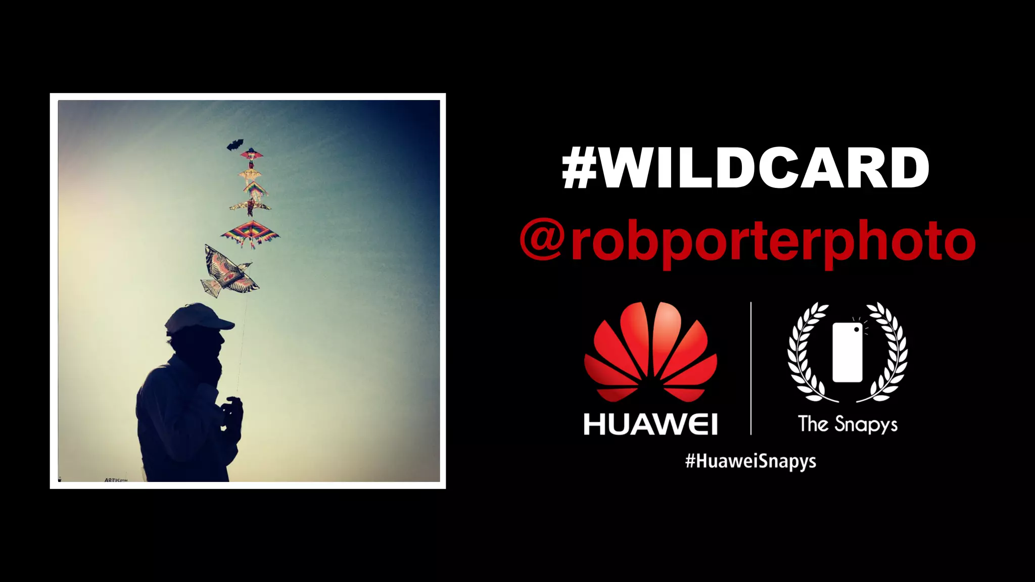#WILDCARD
@robporterphoto