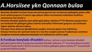A.Horsiisee ykn Qonnaan bulaa
Beeylada dhaabbii horsiisee biyya keessatti gurguruuf yoo murteessee giddugalaa gabaa adda
ba’an qofatti gurguruu fi qaama roga qabuun iddoo murtaayeetti walharkaa fuudhinsa
raawwachuu kan danda’u.
Beeylada dhaabbii gabbatan gara gidduugala gabaa sadarkaa 2ffaatti dhiyeesse gurgurachuu
yoo barbaade fkf giddugala gabaa sadarka lammaffaa Finfinneetti gurguruu yoo barbaade
ragaan qabatee deemuu qabuu;
Waraqaa karaa dabarsaa (geejjibsiisaa) waajjira misooma gabaa irraa fudhachuu
Xalayaa horsiisaa ykn qonnaan bulaa ta’u isaa ibsu waajjira qonnaa fi qabeenyaa uumamaa
(waajjiraa misooma qabeenya beeylada) irra fudhachuun socha’u qaba
B.Furdisaa beeylada dhaabbiiFurdisaa: -jechuun nama beeylada dhaabbii
giduugala gabaa bittaa fi gurgurtaa beeylada dhaabbii sadarkaa 1ffaa irraa bituudhaan buufata
furdisaatti hanga baatii 4 (Afuri) tursiisuun furdisee giddugala gabaa sadarka 2ffaa beeyladaatti
gurgurtaaf dhiyeessuudha
 