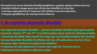 Hirmaataan kun yeroo beeylada dhaabbii geejjibsiisuu ragaalee qabatee deemu keessaa;-
1.Buufata furdisaa ulaagaa guutu kan ofii ykn kan kireeffate ta’u kan ibsu
2.waraqaa ragaa gahumsaa fi Hayyama hojii daldalaa haaromse qabachuu.
3.Hayyama geejibisiisaa ykn waraqaa karaa dabarsaa
C.Al-ergitoota beeylada dhaabbii
Ala-ergitoota beeylada dhaabbii: - jechuun beeylada dhaabbii giduugalaa gabaa
beeylada sadarka 1ffaa ykn 2ffaa irraa bitani gabaa biyya alaaf kan dhiyeessaniidha.
1.Beeylada dhaabbii biyya alaatti kan ergu yoo ta’e buufata furdisaa ykn buufata
tursisaa beeylada dhaabbii kireeffatee ykn kan ofii qabaachuu isaa kan ibsuu
waraqaa ragaa mirkaneessa gahumsaa qabatee;
2.Hayyama al-ergii qabaachuu fi yeroo isaa eege kan haromse ta’uu.
3.Waraqaa karaa dabarsaa qabachuu qaba.
 