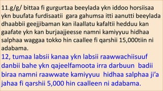 11.g/g/ bittaa fi gurgurtaa beeylada ykn iddoo horsiisaa
ykn buufata furdisaatii gara gahumsa itti aanutti beeylada
dhaabbii geejjibaman kan ilaallatu kafaltii hedduu kan
gaafate ykn kan burjaajjeesse namni kamiyyuu hidhaa
salphaa waggaa tokko hin caallee fi qarshii 15,000tiin ni
adabama.
12, tumaa labsii kanaa ykn labsii raawwachiisuuf
danbii bahe ykn qajeelfamoota irra darbuun badii
biraa namni raawwate kamiyyuu hidhaa salphaa ji’a
jahaa fi qarshii 5,000 hin caalleen ni adabama.
 