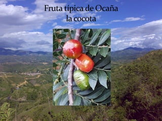 tutorial de presentacion