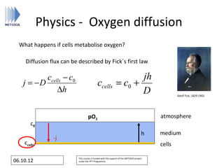 Physics - Oxygen diffusion
  What happens if cells metabolise oxygen?

    Diffusion flux can be described by Fick´s first law

          ccells − c0                                                jh
   j = −D                                   ccells            = c0 +
              ∆h                                                     D                            Adolf Fick, 1829-1901




                                   pO2                                                    atmosphere
       c0
                                                                                      h   medium
                -j
    ccells                                                                                cells

                          This course is funded with the support of the METOXIA project
06.10.12                  under the FP7 Programme.
 
