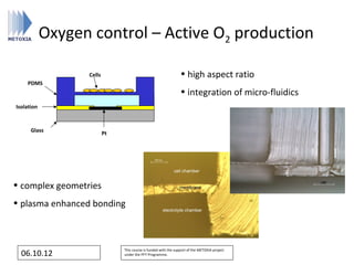 Oxygen control – Active O2 production

                  Cells                                          • high aspect ratio
    PDMS
                                                                 • integration of micro-fluidics
Isolation



      Glass               Pt




• complex geometries
• plasma enhanced bonding



                               This course is funded with the support of the METOXIA project
  06.10.12                     under the FP7 Programme.
 