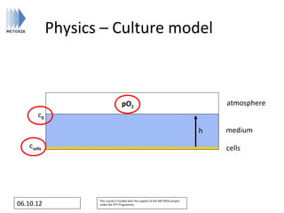 Physics – Culture model



                                   pO2                                                 atmosphere
       c0

                                                                                   h   medium
   ccells                                                                              cells




                   This course is funded with the support of the METOXIA project
06.10.12           under the FP7 Programme.
 