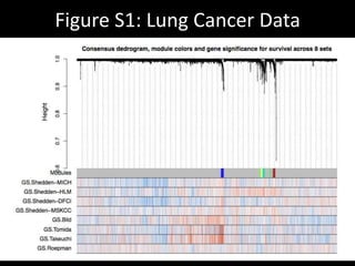 Figure S1: Lung Cancer Data
 