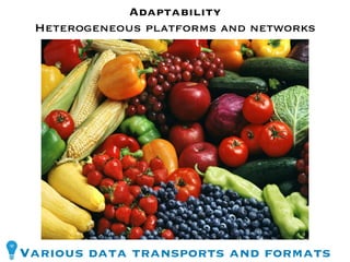 Adaptability
 Heterogeneous platforms and networks




Various data transports and formats
 