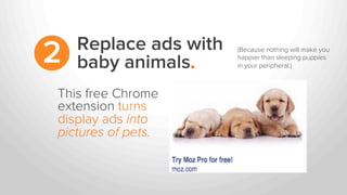 Replace ads with
baby animals.2
This free Chrome
extension turns
display ads into
pictures of pets.
(Because nothing will ...