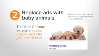 Replace ads with
baby animals.2
This free Chrome
extension turns
display ads into
pictures of pets.
(Because nothing will make you
happier than sleeping puppies
in your peripheral.)	
  
 
