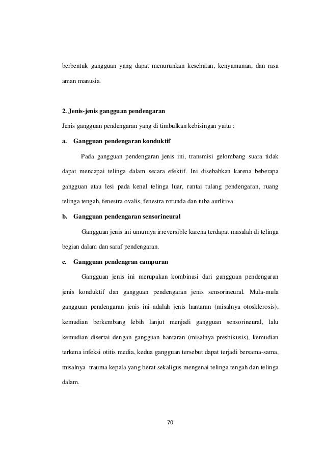 Program Konservasi Pendengaran