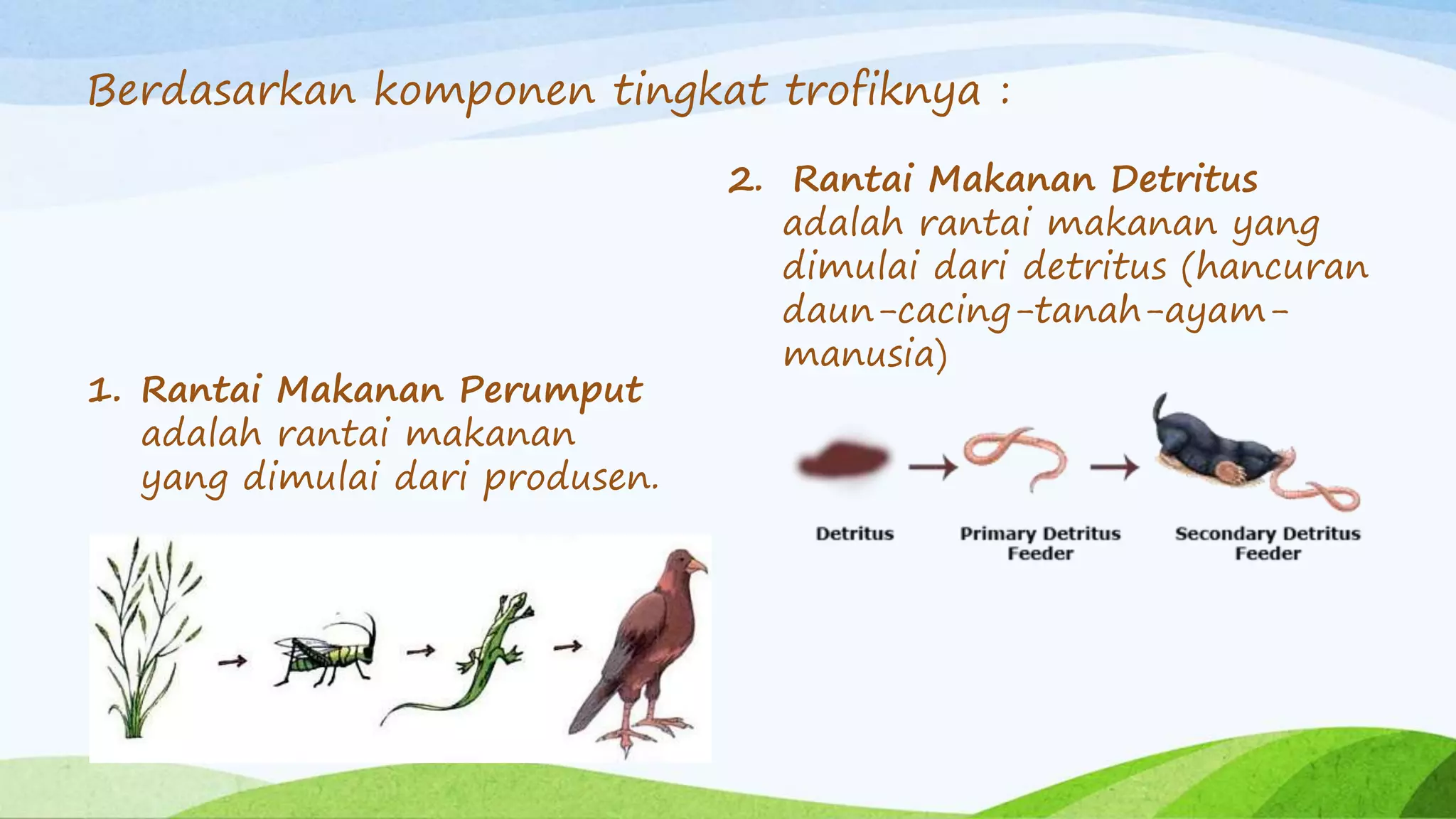 Hubungan antar Komponen Ekosistem | PPTX