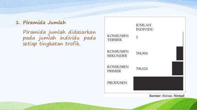 Hubungan antar Komponen Ekosistem