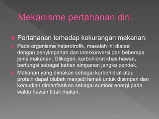  Pertahanan terhadap kekurangan makanan:
 Pada organisme heterotrofik, masalah ini diatasi
dengan penyimpanan dan interkonversi dari beberapa
jenis makanan. Glikogen, karbohidrat khas hewan,
berfungsi sebagai bahan simpanan jangka pendek.
 Makanan yang dimakan sebagai karbohidrat atau
protein dapat diubah menjadi lemak untuk disimpan dan
kemudian dimanfaatkan sebagai sumber energi pada
waktu hewan tidak makan.
 