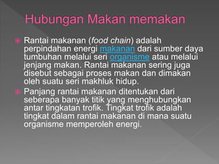  Rantai makanan (food chain) adalah
perpindahan energi makanan dari sumber daya
tumbuhan melalui seri organisme atau melalui
jenjang makan. Rantai makanan sering juga
disebut sebagai proses makan dan dimakan
oleh suatu seri makhluk hidup.
 Panjang rantai makanan ditentukan dari
seberapa banyak titik yang menghubungkan
antar tingkatan trofik. Tingkat trofik adalah
tingkat dalam rantai makanan di mana suatu
organisme memperoleh energi.
 