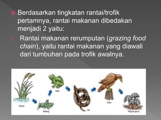  Berdasarkan tingkatan rantai/trofik
pertamnya, rantai makanan dibedakan
menjadi 2 yaitu:
1. Rantai makanan rerumputan (grazing food
chain), yaitu rantai makanan yang diawali
dari tumbuhan pada trofik awalnya.
 