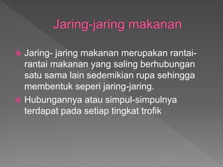  Jaring- jaring makanan merupakan rantai-
rantai makanan yang saling berhubungan
satu sama lain sedemikian rupa sehingga
membentuk seperi jaring-jaring.
 Hubungannya atau simpul-simpulnya
terdapat pada setiap tingkat trofik
 