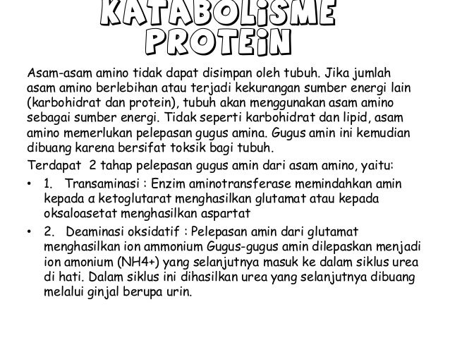 Hubungan Metabolisme Protein Karbohidrat Dan Lemak