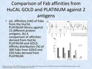 Comparison of Fab affinities from
HuCAL GOLD and PLATINUM against 2
antigens
• (a). Affinities (nM) of Fabs
from the HuCAL
PLATINUM library against
15 different protein
antigens. (b) A
comparison of affinities
derived from HuCAL
PLATINUM and GOLD.
Affinity distribution (%) of
300 Fabs from GOLD and
250 Fabs derived from
PLATINUM.
Pressler, Josef, et all HuCAL PLATNIUM, a Synthetic Fab Library Optimized for Sequence Diversity and Siperior Perofmance in Mammalian Expression Systems, Journal
of Molecular Biology, vol 413, issue 1, 14 OCtober 2011, p. 261-278
 