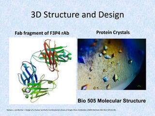3D Structure and Design
Fab fragment of F3P4 rAb Protein Crystals
Bio 505 Molecular Structure
Nahary L. and Benhar I. Design of a Human Synthetic Combinatorial Library of Single-Chain Antibodies (2009) Methods Mol Biol. 525:61-80,
 